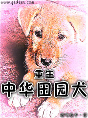 重生中华田园犬" width="120" height="150"