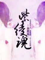 紫绫魂
